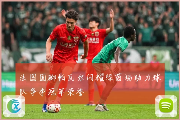 法国国脚帕瓦尔闪耀绿茵场助力球队争夺冠军荣誉