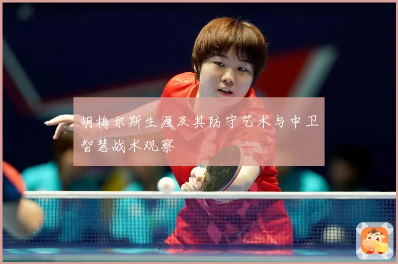 胡梅尔斯生涯及其防守艺术与中卫智慧战术观察